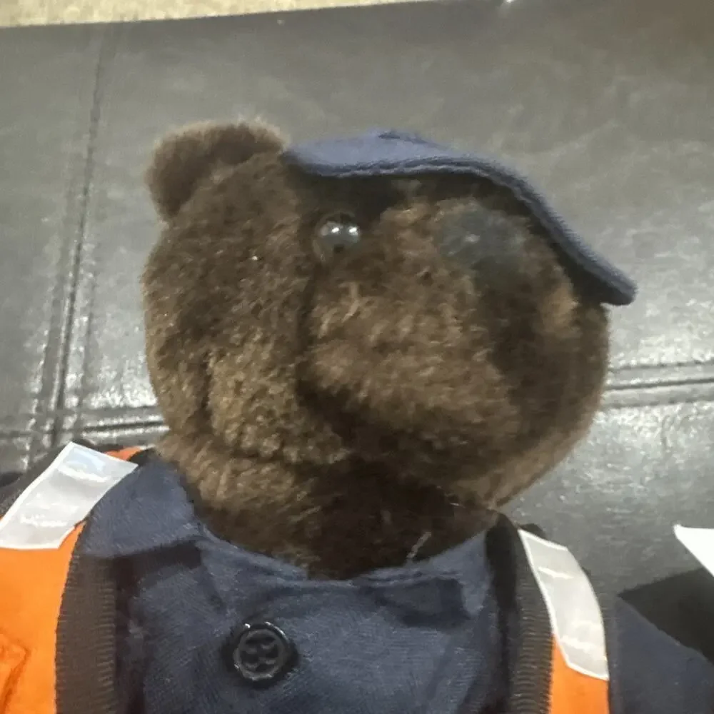 Bear Forces Of America US Coast Guard Teddy Bear Vintage Plush With Tags 10”